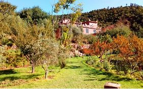 Ourika Timalizene Le Jardin Des Delices